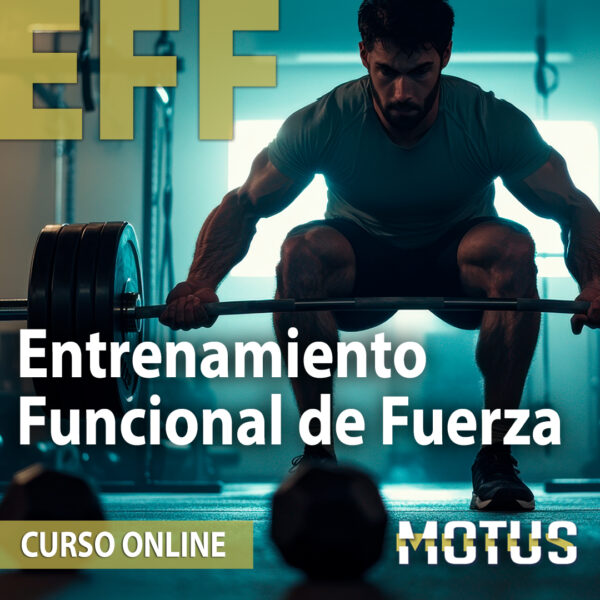 Entrenamiento Funcional de Fuerza